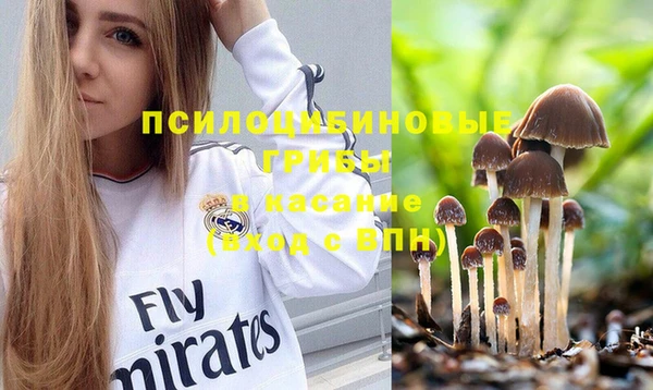 PSILOCYBIN Новодвинск