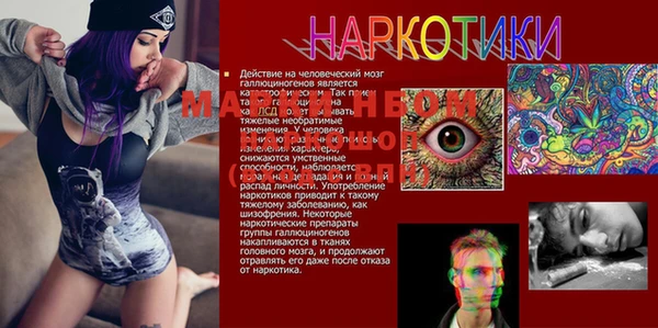амфетамин Няндома