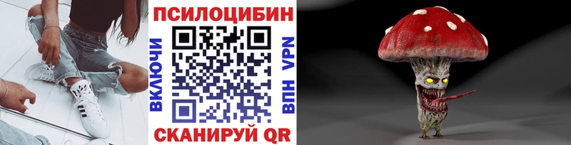 Галлюциногенные грибы Psilocybine cubensis  Рузаевка 